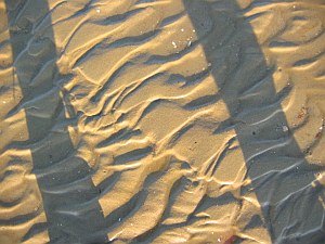 strandschatten