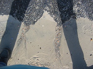 Teerhose