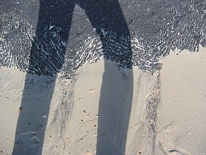 Teerhose