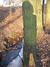 platonshoehle