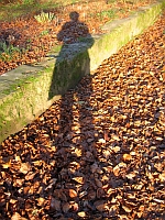 Herbstschatten