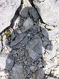 Steinkobold