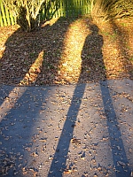 Herbstschatten