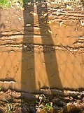 Pfuetzenschatten