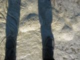 schaumschatten