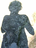 steinbauch