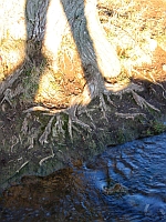 Halbschatten